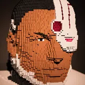 The Art of the Brick - DC Super Heroes